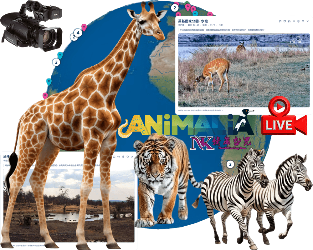 全球動物現場Animalia Live免費24小時動物直播服務-犄角旮旯